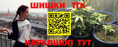 индика Коммунар