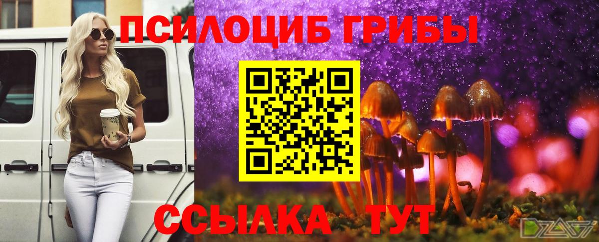 Коломна  Галлюциногенные грибы ЛСД  Вход с VPN  Галлюциногенные грибы прущие грибы 